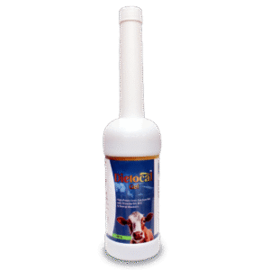 Dietocal Gel Iconic Calcium with Power of PG 20% (Mix Fruit Flavour)
