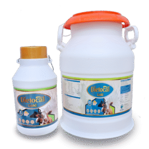 Dietocal Gold Liquid Calcium (Mango Flavour)